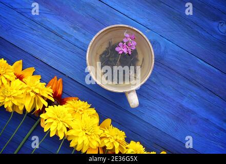 Natürliche Kräutertee mit lila frischen Blumen und Blätter der medizinischen Feuerwesppflanze n Keramik Tasse auf blauen Holzbrettern im Freien. Stockfoto