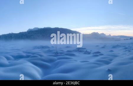 Bizarre, jenseitige Winterlandschaft um gefrorene bedeckt mit Bodennebel Stockfoto