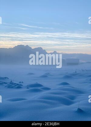 Bizarre, jenseitige Winterlandschaft um gefrorene bedeckt mit Bodennebel Stockfoto