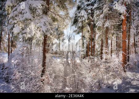 DE - BAYERN: Winterszene in Buchberg bei Bad Tölz Stockfoto