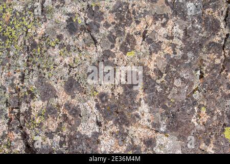 Die Textur des Steins ist mit grünen Flechten bedeckt. Die Oberfläche eines alten Steins. Stockfoto