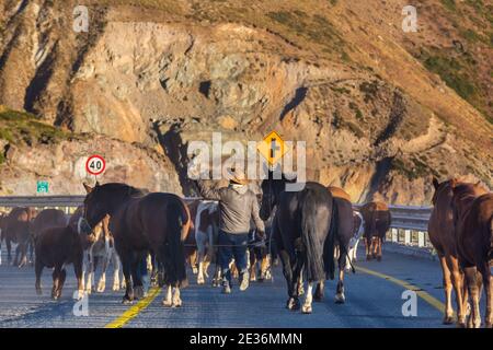 Gauchos in Patagonien, Argentinien Stockfoto