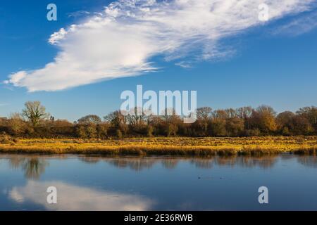 Bowling Green Marsh und River Clyst, Topsham, Devon, England, Europa Stockfoto