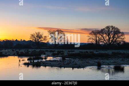 Sonnenaufgang über dem Bowling Green Marsh und River Clyst, Topsham, Devon, England, Europa Stockfoto