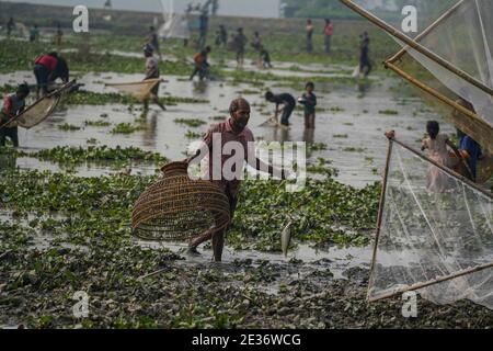 Dhaka, Dhaka, Bangladesch. Januar 2021. Am 17. Januar 2021 fangen Menschen in einem Gewässer in Bishwanath Upazila auf Sylhet mit Polo Bawa, einer traditionellen Falle in Sylhet, Bangladesch. Kredit: Zabed Hasnain Chowdhury/ZUMA Wire/Alamy Live Nachrichten Stockfoto