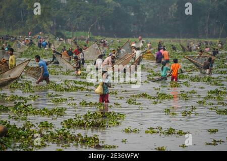 Dhaka, Dhaka, Bangladesch. Januar 2021. Am 17. Januar 2021 fangen Menschen in einem Gewässer in Bishwanath Upazila auf Sylhet mit Polo Bawa, einer traditionellen Falle in Sylhet, Bangladesch. Kredit: Zabed Hasnain Chowdhury/ZUMA Wire/Alamy Live Nachrichten Stockfoto