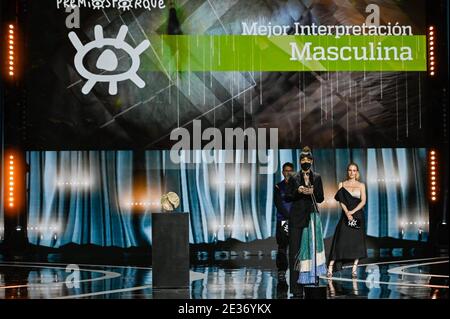 Madrid, Spanien. Januar 2021. Gala für die 26. Jährlichen Jose Maria Forque Awards in Madrid am Samstag, 16. Januar 2021. Quelle: CORDON PRESS/Alamy Live News Stockfoto