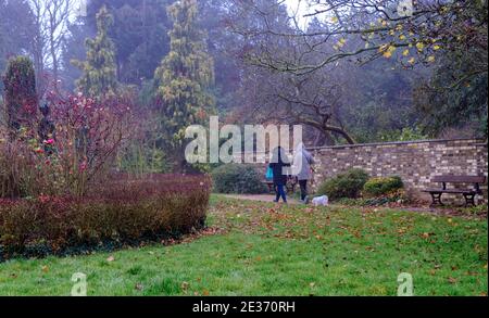 Zwei Damen und ein weißer Hund Spaziergang im Peace Garden, Pinner Memorial Park, mit Blättern auf dem Boden an einem nebligen Herbsttag Northwest London, England. Stockfoto