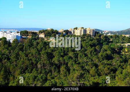 Schöner grüner Wald und Häuser in Barcelona Stockfoto