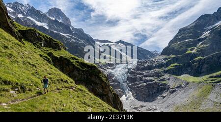 Wandern in den Bergen auf Wanderweg nach Grindelwald, Gletscher Grindelwald-Fieschergletscher und Gipfel des Walcherhorns, Berner Oberland, Schweiz Stockfoto