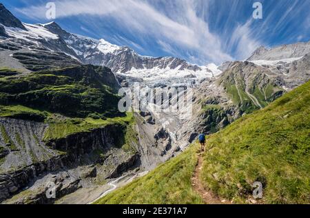 Wanderer in den Bergen auf Wanderweg nach Grindelwald, Gletscher Grindelwald-Fieschergletscher und Gipfel des Walcherhorns, Berner Oberland, Schweiz Stockfoto