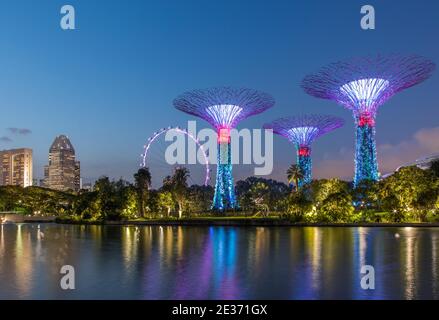 Supertrees in der Nacht, Supertree Grove, Gardens by the Bay, Singapur Stockfoto