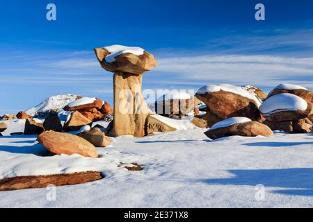 Bisti Badlands, Monolith und Felssäule aus Ton und Sandstein, im Winter, Bisti Wilderness, New Mexico, USA Stockfoto