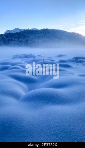 Bizarre, jenseitige Winterlandschaft um gefrorene bedeckt mit Bodennebel Stockfoto