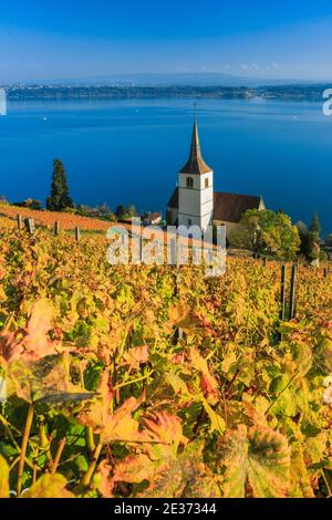 Ligerz am Bielersee, Bern, Schweiz Stockfoto