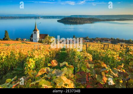 Ligerz am Bielersee, Bern, Schweiz Stockfoto