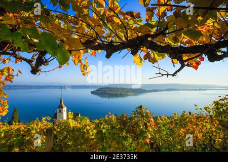 Ligerz am Bielersee, Bern, Schweiz Stockfoto