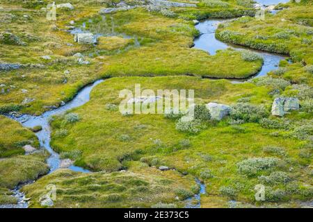 Wasserlauf am Grimselpass, Bern, Schweiz Stockfoto