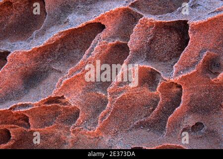 Sandsteindetails, Coyote Buttes North, Sandsteingebiet, Arizona, USA Stockfoto