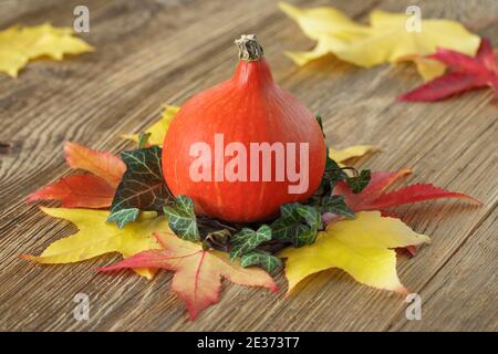 Herbstliche Dekoration Stockfoto