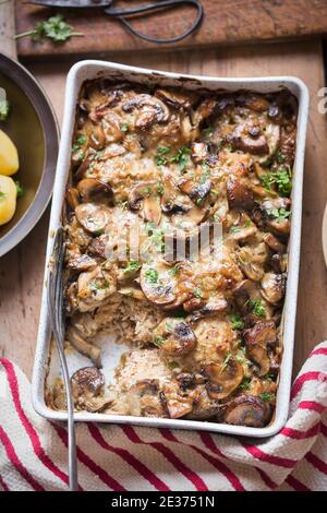 Gołąbki - Polnische Fleischbällchen mit Kohl, Reis, gebacken in reicher Pilz- und Senfsoße. Stockfoto