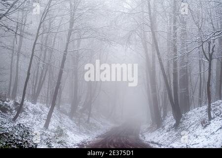 Ein winterlicher Morgen mit Schnee und Nebel in Gravelly Hollow, Calverton Nottinghamshire England Stockfoto