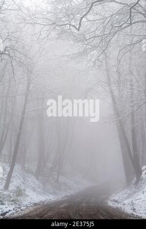 Ein winterlicher Morgen mit Schnee und Nebel in Gravelly Hollow, Calverton Nottinghamshire England Stockfoto