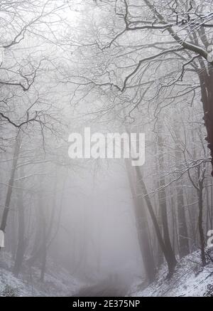 Ein winterlicher Morgen mit Schnee und Nebel in Gravelly Hollow, Calverton Nottinghamshire England Stockfoto