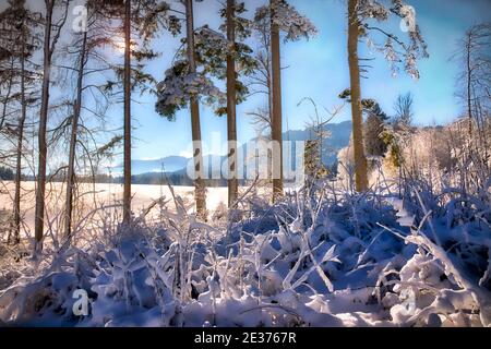 DE - BAYERN: Winterszene in Buchberg bei Bad Tölz (HDR-Bild) Stockfoto