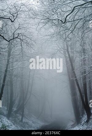 Ein winterlicher Morgen mit Schnee und Nebel in Gravelly Hollow, Calverton Nottinghamshire England Stockfoto