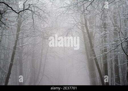 Ein winterlicher Morgen mit Schnee und Nebel in Gravelly Hollow, Calverton Nottinghamshire England Stockfoto