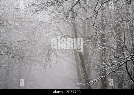 Ein winterlicher Morgen mit Schnee und Nebel in Gravelly Hollow, Calverton Nottinghamshire England Stockfoto