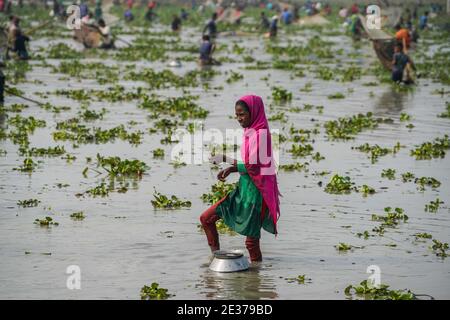 Sylhet, Bangladesch. Januar 2021. Eine Frau fängt Fische mit "Polo", einer traditionellen Falle aus Bambus während "Polo Bawa", einem jahrhundertealten traditionellen Fischerfest in Bangladesch. Kredit: SOPA Images Limited/Alamy Live Nachrichten Stockfoto