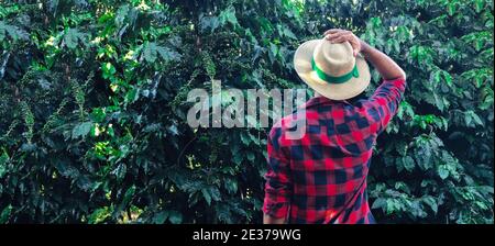 Farmer Blamm Männchen mit Hut auf Kaffee Plantage Fild Farm Stockfoto