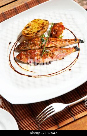 Gegrillte rote Meeräsche auf Teller mit Tomatenkartoffel und Gewürzen Stockfoto