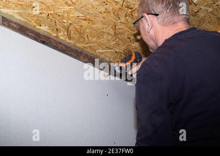 A man screws a drywall sheet to metal profiles with a screwdriver. Home renovation. Wall covering. Stockfoto