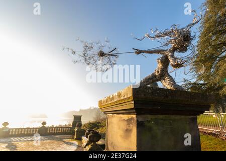 Drahtskulptur und Löwenzahn Uhr in winterlicher Szene an Trentham Garden Staffordshire Stockfoto