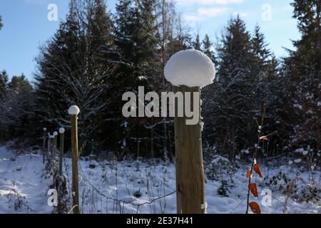 Weiße Schneekappen an den Zaunpfosten. Stockfoto