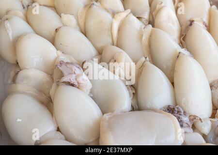 Stapel von sauberen gemeinen Tintenfisch oder europäischen gemeinen Tintenfisch (Sepia officinalis) auf dem Markt verkauft, Meeresfrüchte. Stockfoto