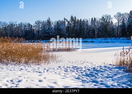 Schöne Winter verschneite Landschaft auf dem See Stockfoto