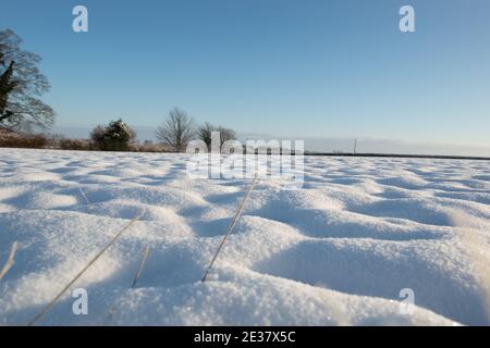 Nahaufnahme eines klumpigen schneebedeckten Feldes mit niedriger Sonne, Schattenmustern und einem blauen Himmel Stockfoto