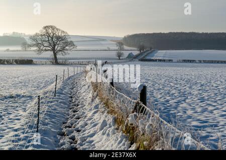Ein schneebedeckter Fußweg, der durch Felder und zu einem Wald bei Oglethorpe, West Yorkshire, führt Stockfoto