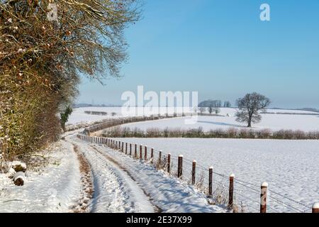 Winter Blick auf eine schneebedeckte Farm Strecke zwischen läuft Felder und Bäume vor blauem Himmel Stockfoto