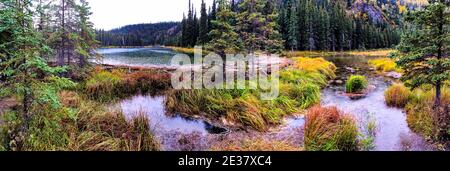 Denali National Park, Alaska, USA - 5. September 2016: Panorama von Horsehhoe Lake, Nenana River, Biberdamm und Lodge im Regen. Stockfoto