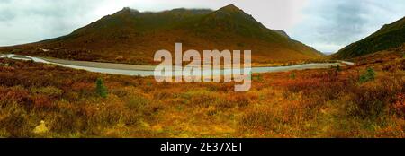 Denali, Alaska, USA: 5. September 2016: Panorama des Savage River Canyon. Stockfoto