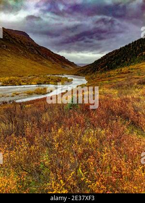 Denali, Alaska, USA: 5. September 2016: Panorama des Savage River Canyon. Stockfoto