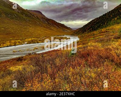 Denali, Alaska, USA: 5. September 2016: Panorama des Savage River Canyon. Stockfoto