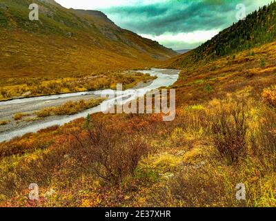 Denali, Alaska, USA: 5. September 2016: Panorama des Savage River Canyon. Stockfoto