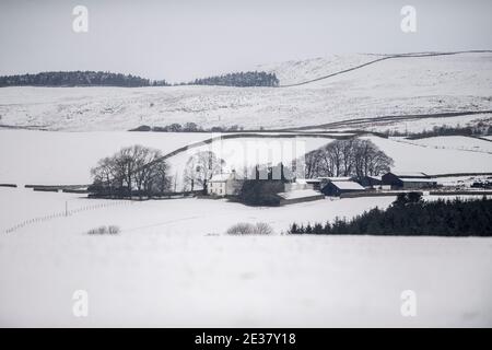 Staindrop, County Durham, Großbritannien. Donnerstag, 7. Januar 2021: Als in Teilen von County Durham über Nacht mehr Schnee fiel, fiel die Temperatur in Großbritannien auf A Stockfoto