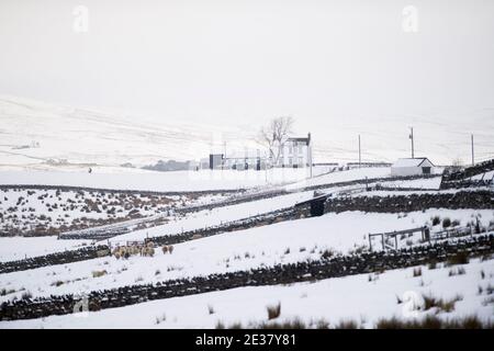 Middleton in Teesdale, County Durham , Großbritannien. Dienstag, 5. Januar 2021: Schwerer Schnee setzte sich am Morgen in Teilen der Grafschaft Durham fort. Weit Stockfoto